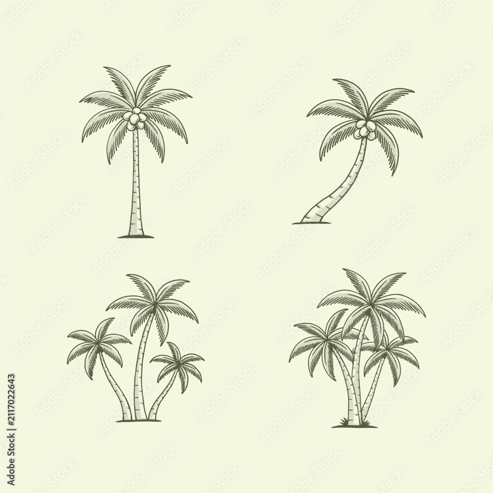 Fototapeta premium A vintage-style vector illustration of palm tree collection. Perfect for tropical-themed branding and elements, beach apparel, travel agency logos, stationery, packaging. Easy to edit and scalable