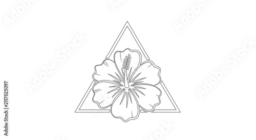 hibiscus flower in triangle, line art, floral design