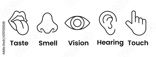 Foto Five sense icons depicting taste smell vision hearing and touch in a linear styl