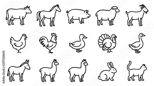 Canvas Print Farm animals standing