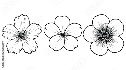 Flower vector illustration set of three hand drawn petals