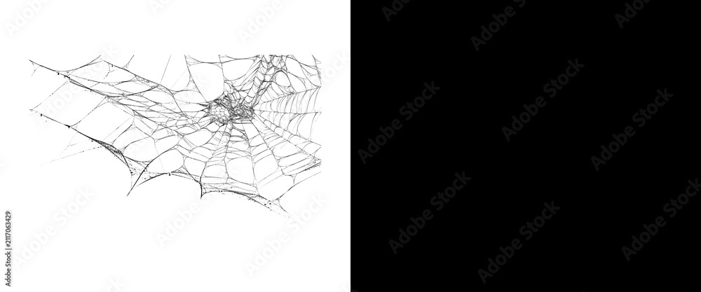 Fototapeta premium Intricate spider web design on white and black backgrounds, spooky cobweb texture for Halloween, realistic spiderweb pattern for horror themes