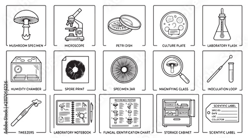 Bild auf Leinwand Scientific mycology laboratory icons, set of 15 biology research line art vector