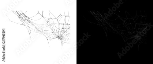Intricate spider web texture on white and black backgrounds, delicate cobweb pattern for spooky design, realistic spiderweb overlay for Halloween