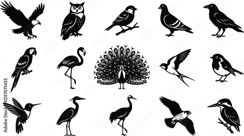 Fototapeta premium Diverse bird silhouettes collection featuring eagle, owl, parrot, flamingo, peacock, and hummingbird in black on a white background