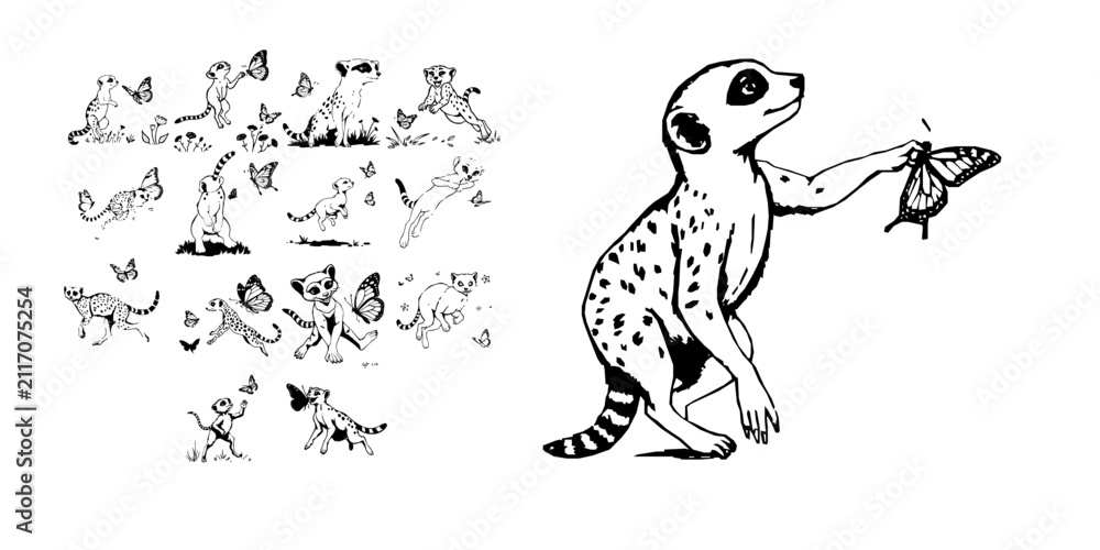 Obraz premium Meerkat Chasing A Butterfly Outline Clean Line Black Outline On White Coloring Page