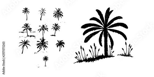 Palm Tree In A Sunny Meadow Outline Clean Line Black Outline On White Coloring Page