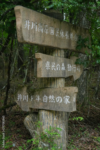 静岡県_静岡市葵区_大日峠(大日古道)