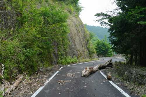 静岡県_葵区_林道竹ノ沢線