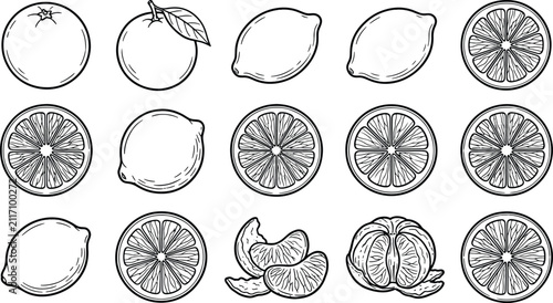 Quadro su tela Citrus fruit collection vector illustration set featuring whole and sliced lemon