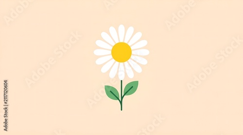daisies on white background