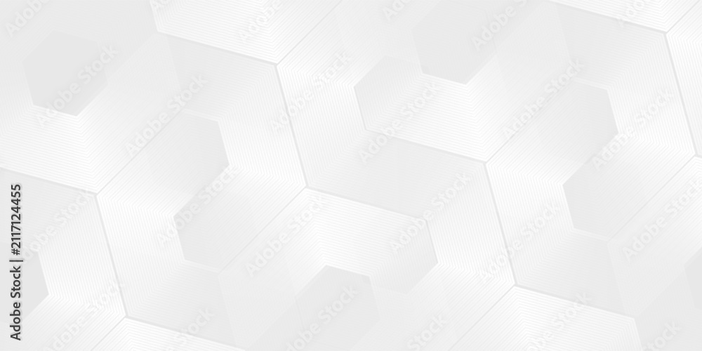 Fototapeta premium Hexagon abstract white gray wave light technology texture background simple abstract design vector