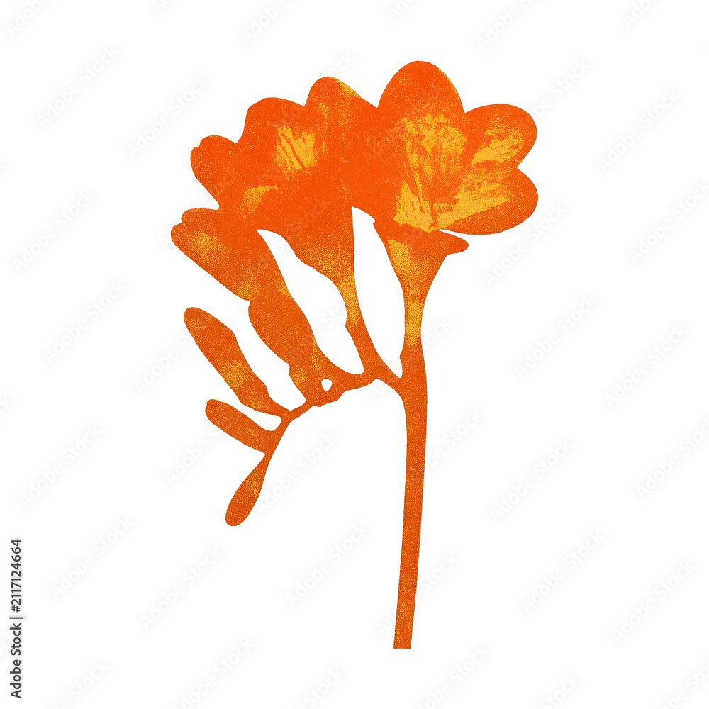 Obraz premium PNG Orange floral silhouette on white.