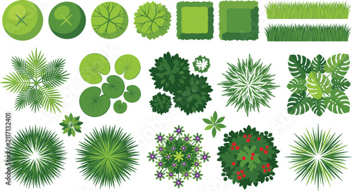 Landscape plan view plant vector element set with green trees shrubs grass bushes and palm tops