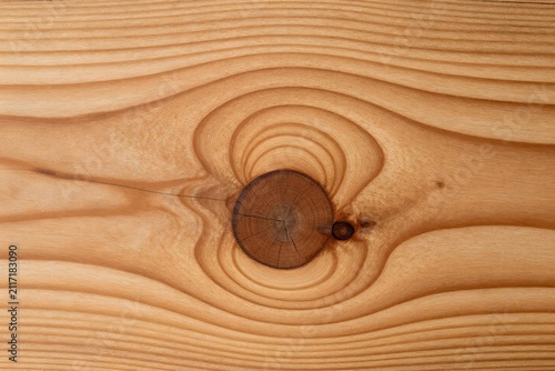 Natural wooden texture from tree surface with detailed patterns