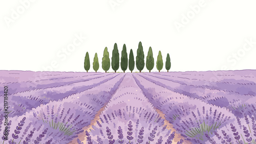 Serene watercolor lavender field with rows of purple blooms leading to a line of green cypress trees against