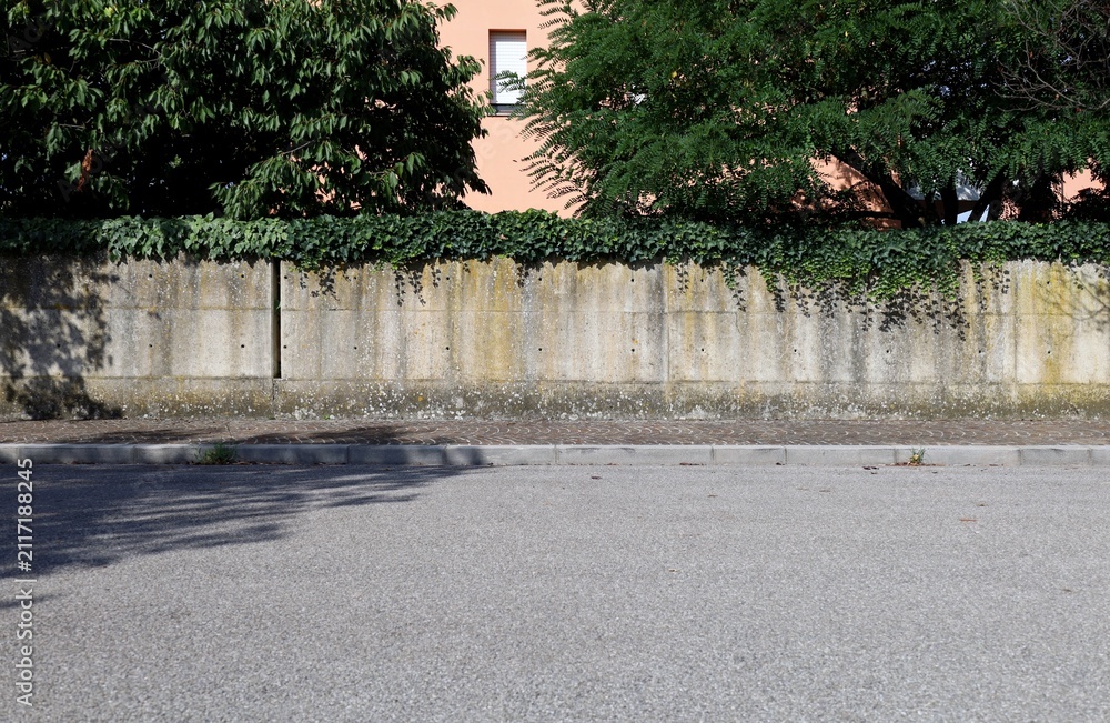 Foto Stock Prefab concrete block wall with ivy on top and trees and ...