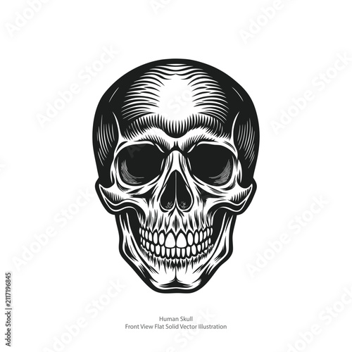 Anatomical Human Skull Isolated Premium Vector Design