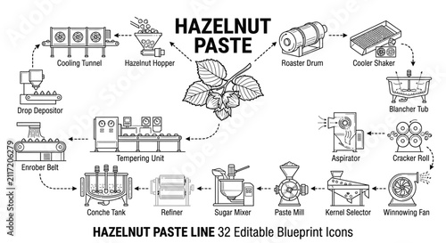 Hazelnut paste industrial production line blueprint illustration featuring technical icons for roaster drum, paste mill, conche tank, sugar mixer, and cooling tunnel.