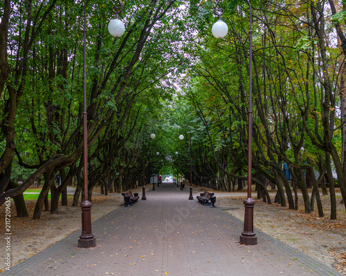 Tree-lined park pathway with lampposts and benches, in late summer or early autumn