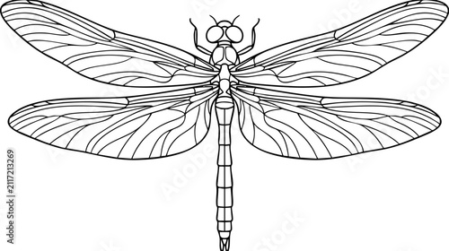 Detailed dragonfly vector line art illustration with dragonfly illustration detailed creature