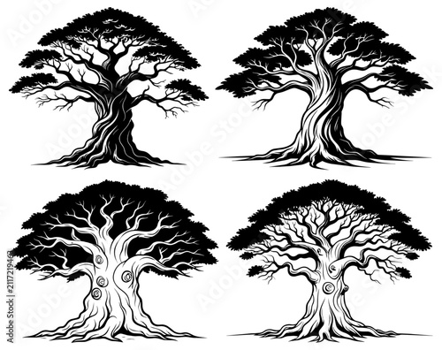 Ancient Tree Collection Black Vector Illustrations