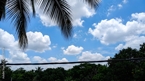 Palm tree leaves frame a bright blue sky filled with fluffy white clouds above a distant dark green forest line in a summer day scene.