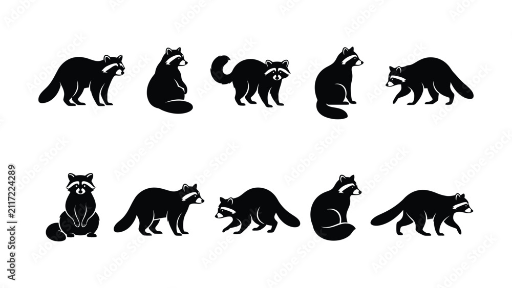 Fototapeta premium Various black and white raccoon animal icons in different poses