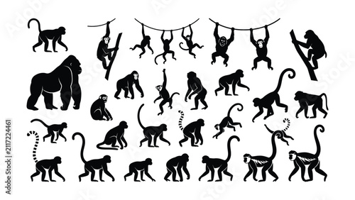 Konstfotografi Various Monkeys Silhouettes Displaying Different Poses and Actions