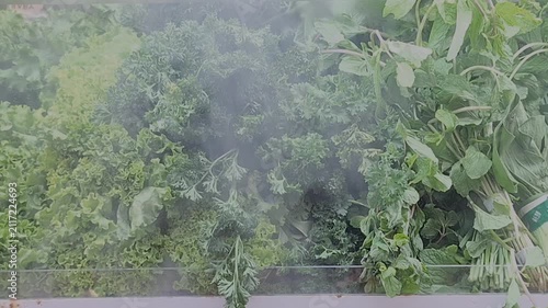 Fresh green vegetables are displayed on a refrigerated supermarket shelf, surrounded by a cool mist.