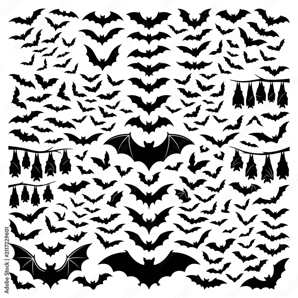 Fototapeta premium Large collection of diverse bat silhouettes includes various flying and hanging poses, providing a comprehensive set of graphic elements for Halloween and themed projects.
