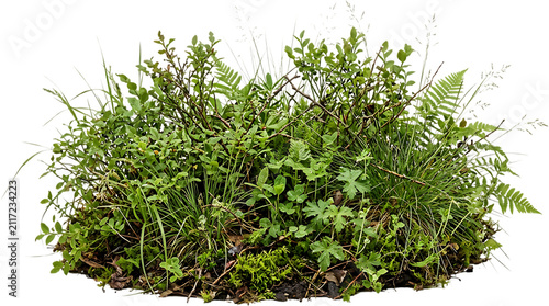 Natural Floating Patch of Green Grass and Wild Foliage Isolated on White Background