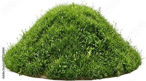 Lush green grass mound isolated on a white background perfect for landscape design and environmental garden elements visualization