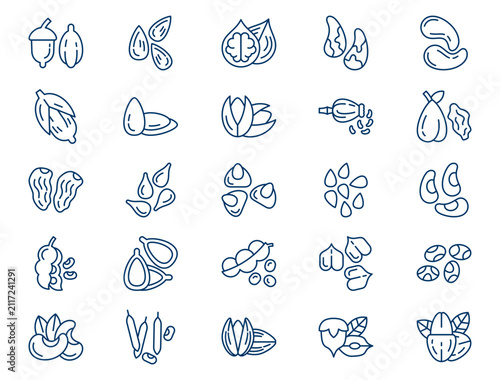 Healthy organic nuts seeds outline collection presents detailed raw superfood ingredient elements. Agriculture concept