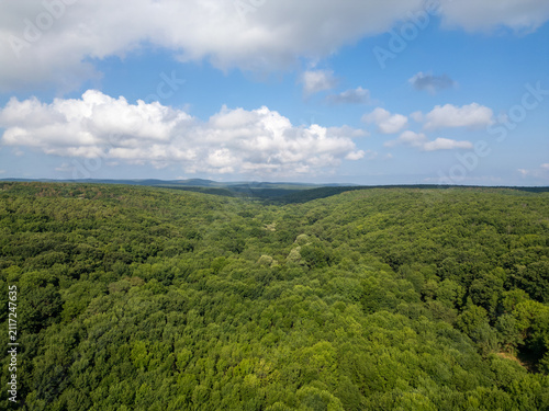 Aerial View of Endless Dense Green Forest in Strandzha Nature Park