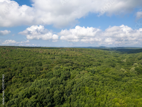 Aerial View of Endless Dense Green Forest in Strandzha Nature Park