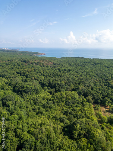 Aerial View of Strandzha Green Forest Meeting the Black Sea Coast