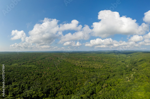 Aerial View of Endless Dense Green Forest in Strandzha Nature Park