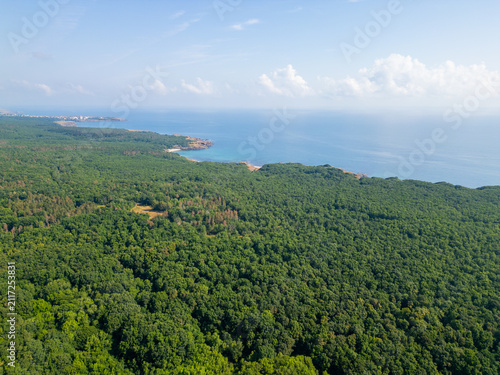 Aerial View of Strandzha Green Forest Meeting the Black Sea Coast