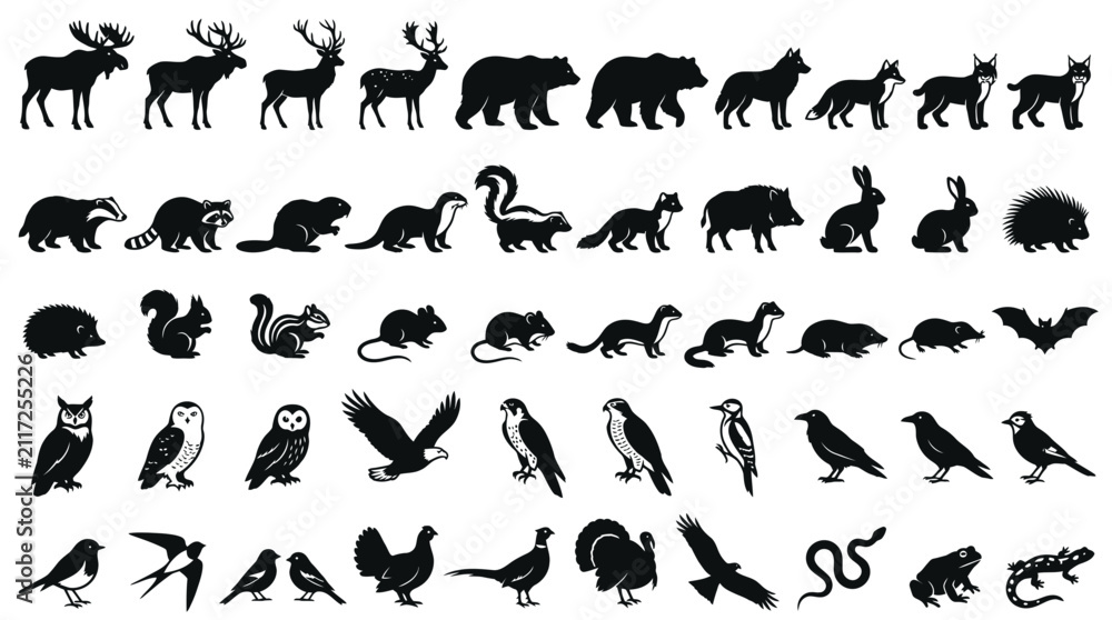 Fototapeta premium Collection of Diverse Wild Animal Silhouettes Set Featuring Woodland Creatures Birds and Reptiles in Black Graphic Style