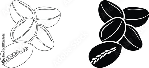 Outline and solid black coffee beans with plant leaves inside one bean on transparent background.