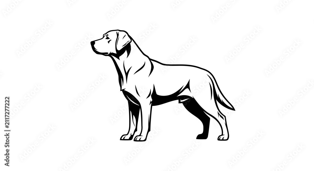 Fototapeta premium Black outline drawing of a sitting retriever dog with detailed fur lines and relaxed posture