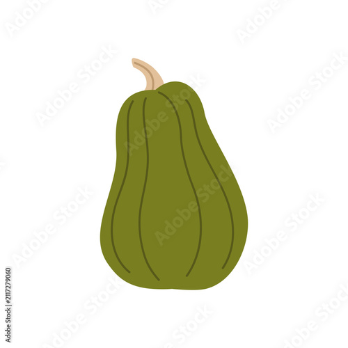 Green bottle gourd. Dark green bottle shaped gourd with smooth surface isolated in seasonal harvest style. Vector 10 EPS.