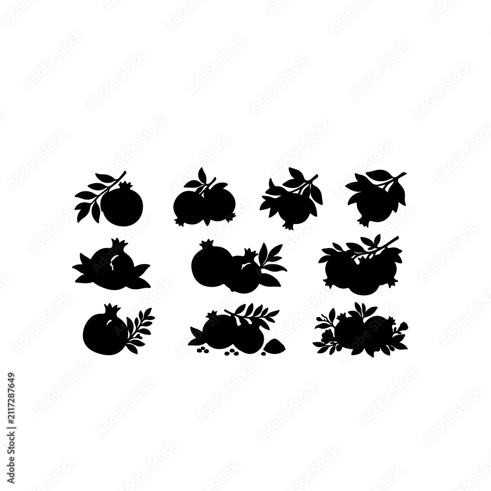 Fototapeta premium Natural Pomegranate Botanical Icon Pack
