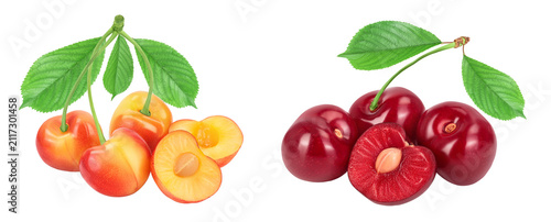 yellow-red sweet cherry isolated on white background with full depth of field
