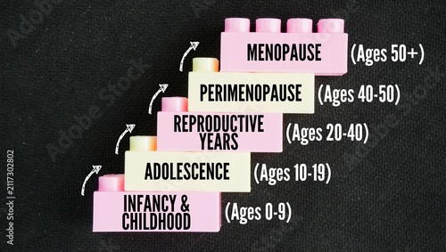 Foto The biological life cycle of a woman spans five major stages from infancy to older adulthood are Infancy and Childhood, Adolescence, Reproductive Years, Perimenopause, Menopause word