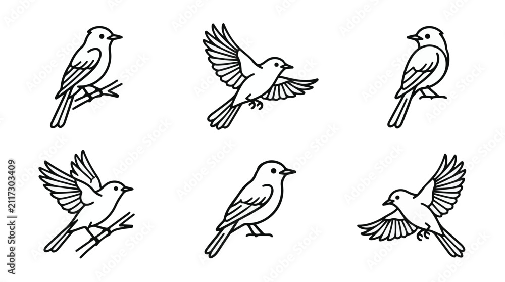 Obraz premium A set of six flycatcher bird in various poses line art vector icon illustrations on a white background 