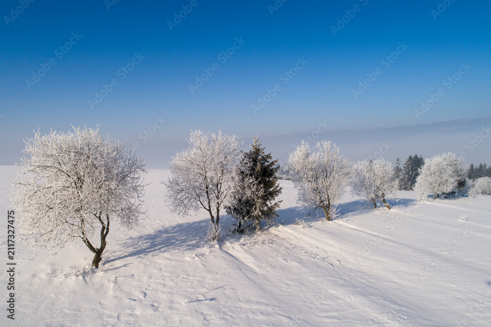 Fototapeta premium Spisz Pieniny
