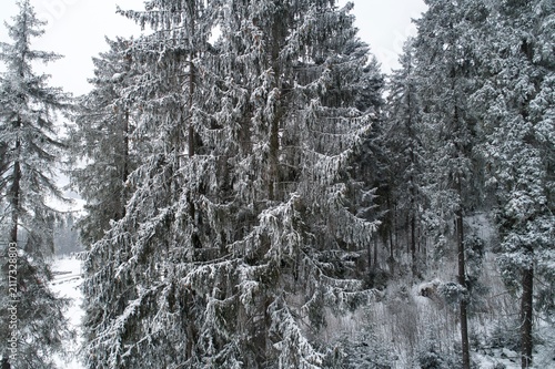 Spisz Pieniny