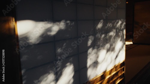 Tree shadow moving on traditional japanese shoji screen
